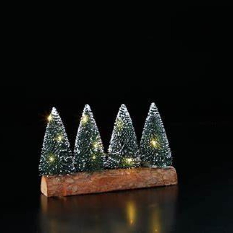 1022015 FOUR NEEDLE TREE