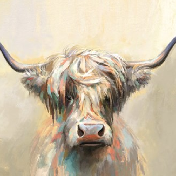 33443 CANVAS OIL HIGHLAND COW 80X100