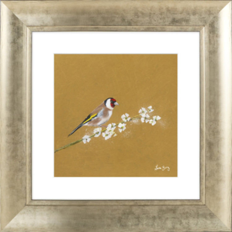 AK12218 GOLDFINCH