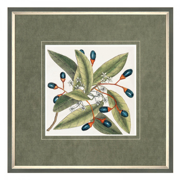 AML01853 BOTANICAL STYLE 