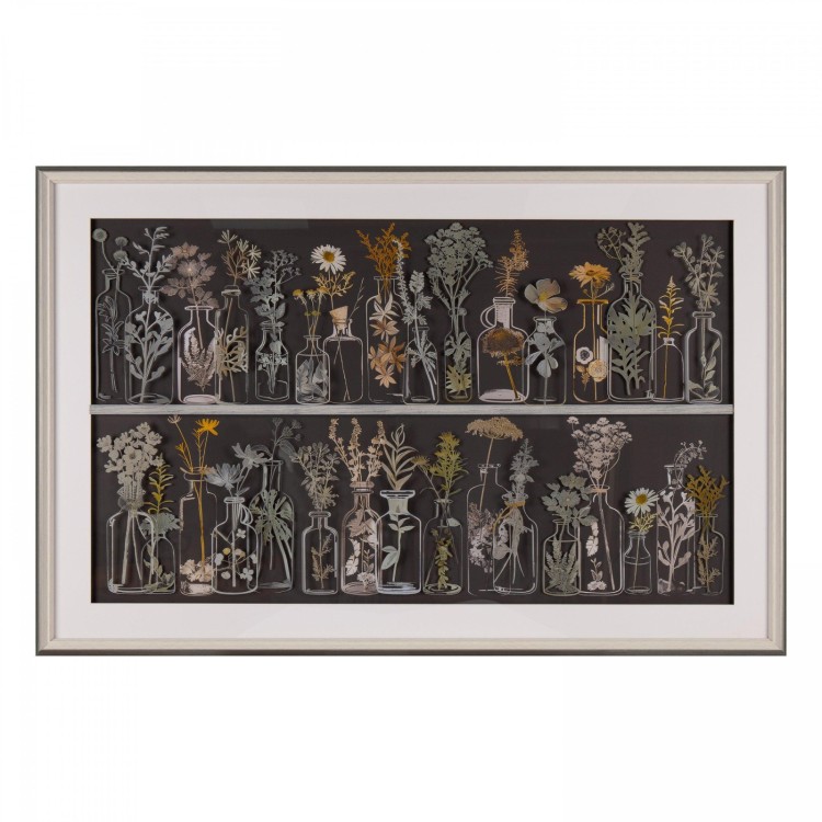AMS00237 THE FORAGERS