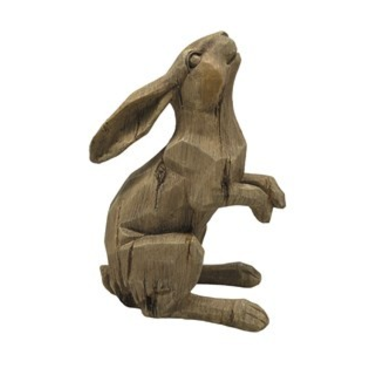 33808 stargazing hare