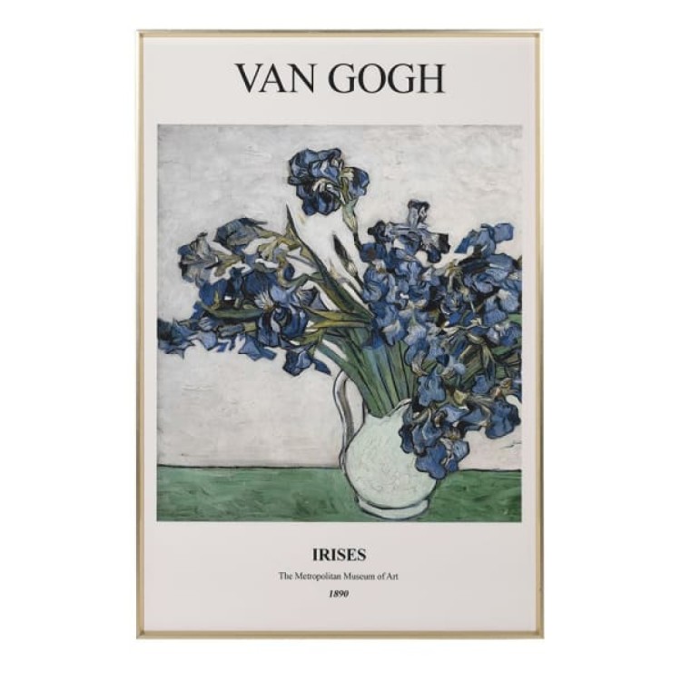 FVH030 VAN GOUGH IRISES