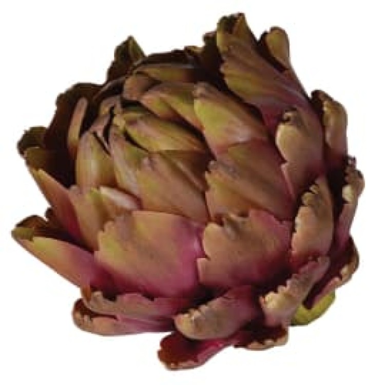 KMM746 PURPLE GREEN ARTICHOKE HEAD