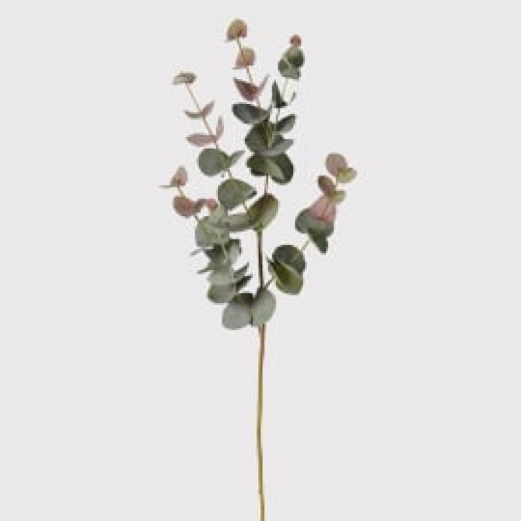 KOW1542 NATURAL BLUSH EUCALYPTUS SPRAY