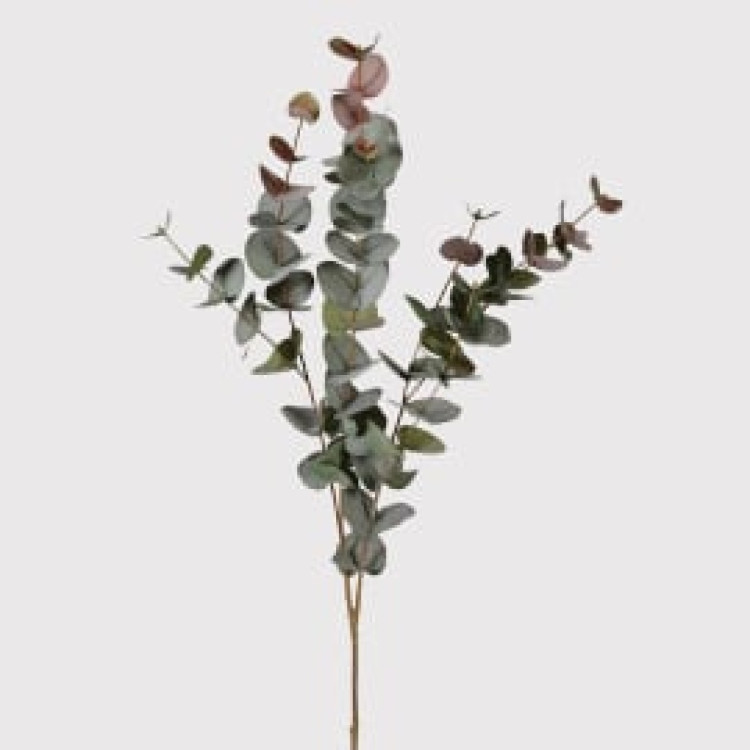 KOW1603 BLUSH EUCALYPTUS SPRAY