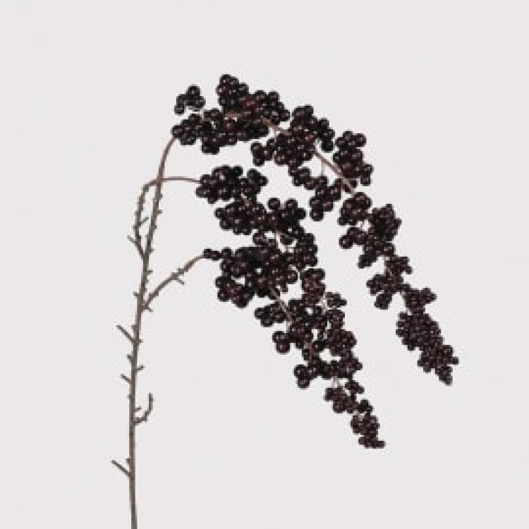 KOW2679 COTONEASTER SPRAY
