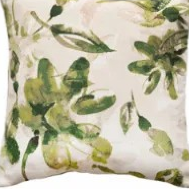 SCFP-KELLY-OLIVE 